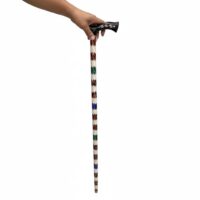 عصا نادرة من صدف